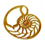 Ka-Gold Jewelry Nautilus Shell Gold