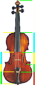 Violin showing golden ratios